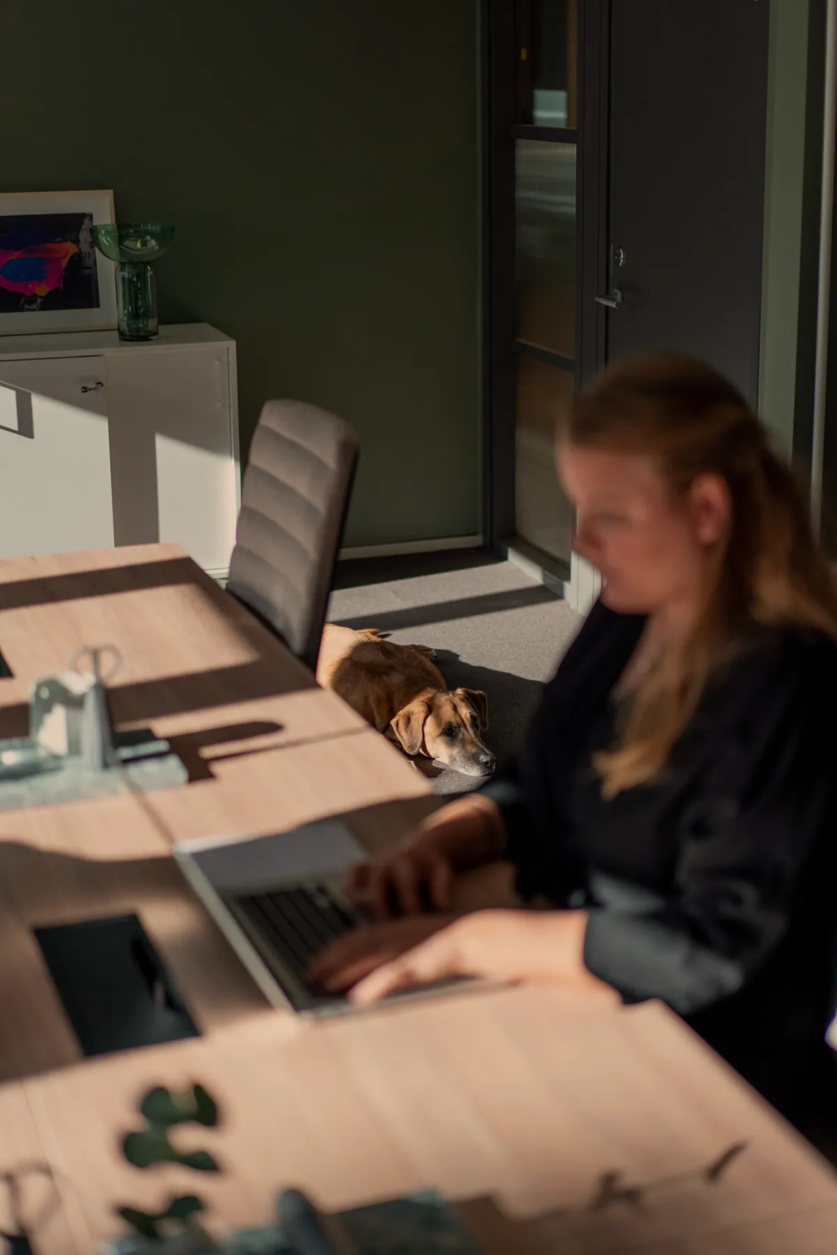 Offices for pet owners.